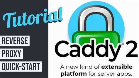 How did you run <b>Caddy</b> (give the fullCaddy (give the full. . Caddy reverse proxy subdirectory